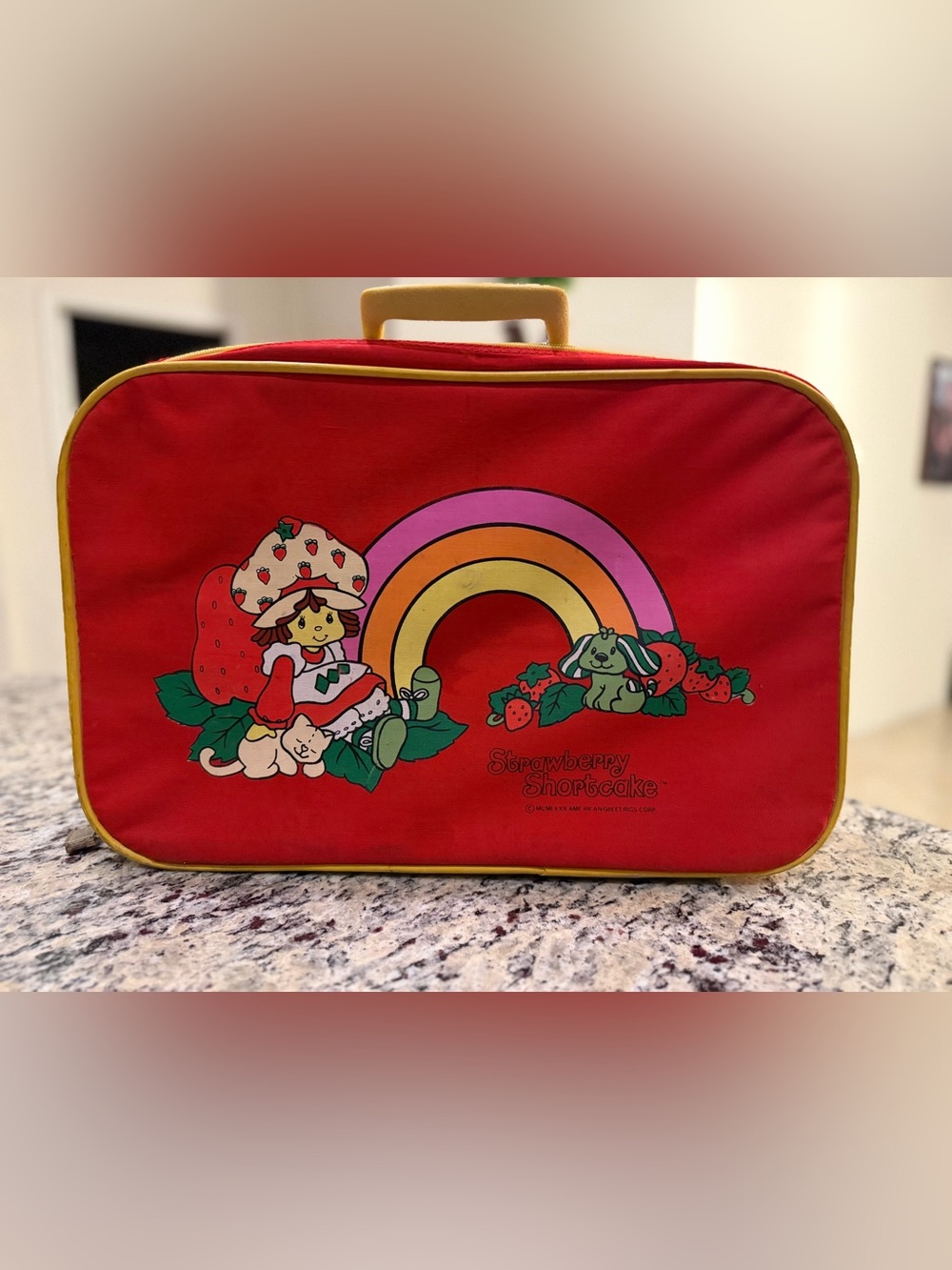 Vintage Strawberry Shortcake Travel Suitcase